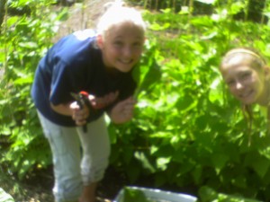 Campers enjoying their work project of harvesting Swiss Chard